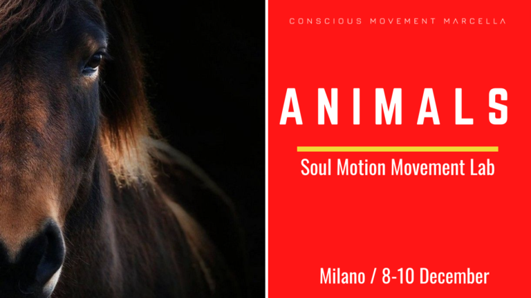MILANO / ANIMALS / SOUL MOTION LAB/ 8-10 DECEMBER